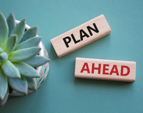 A close-up of a succulent plant sits beside two wooden blocks on a teal surface. One block says "PLAN" in black letters, and the other says "AHEAD" in red—ideal imagery for NY Elder Law Smithtown professionals encouraging future planning.